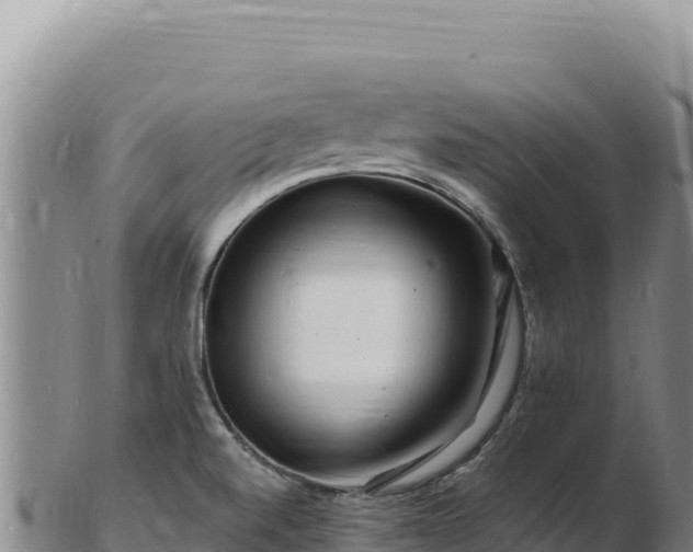 X0000103251520200809041057