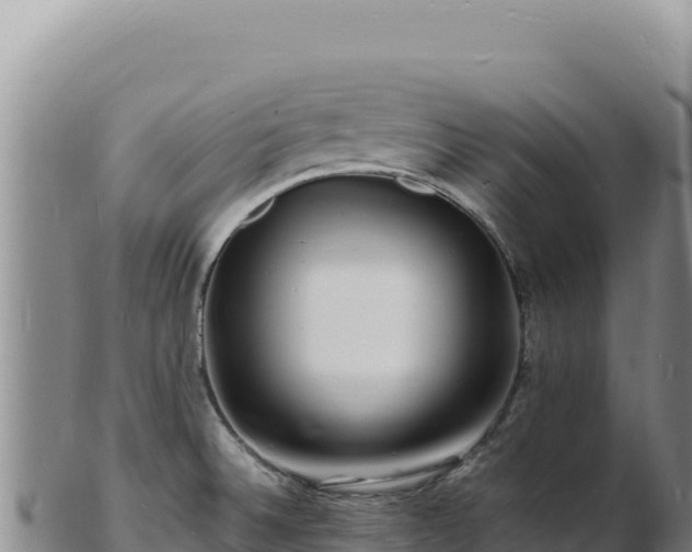 X0000103251524200809041058