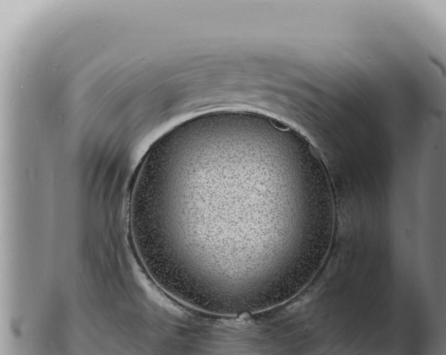 X0000103251526200809041058