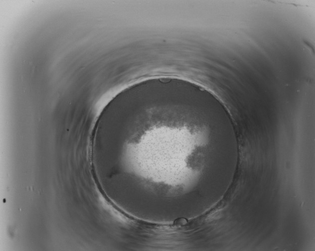 X0000103251527200809041058