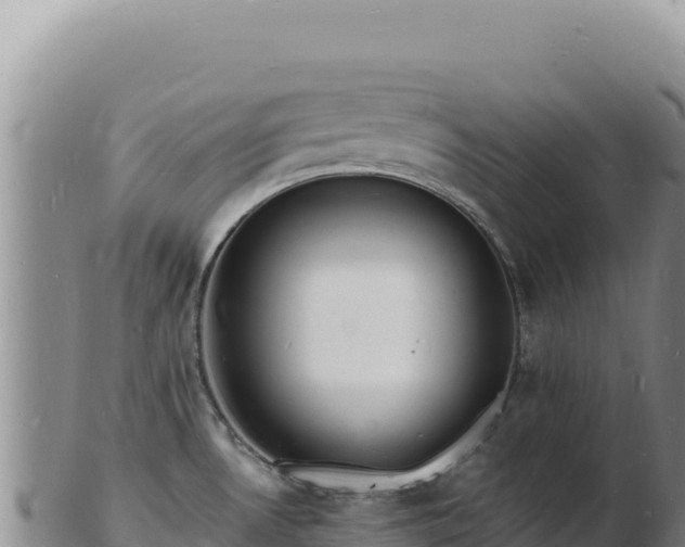 X0000103251530200809041058