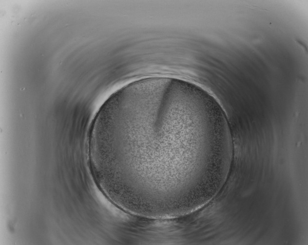 X0000103251531200809041058