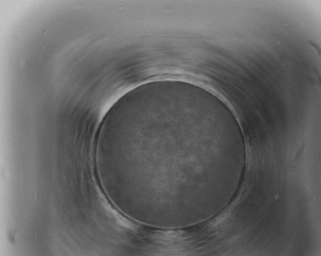 X0000103251533200809041058