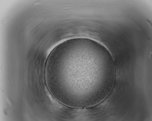 X0000103251534200809041058