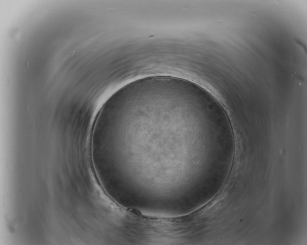 X0000103251536200809041058