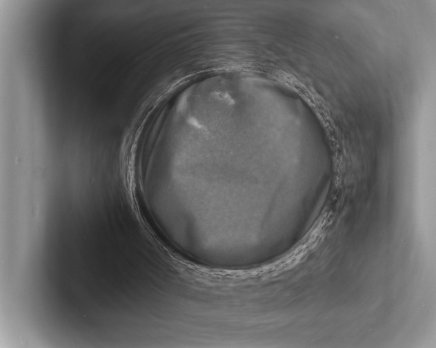 X0000103250002200809111625
