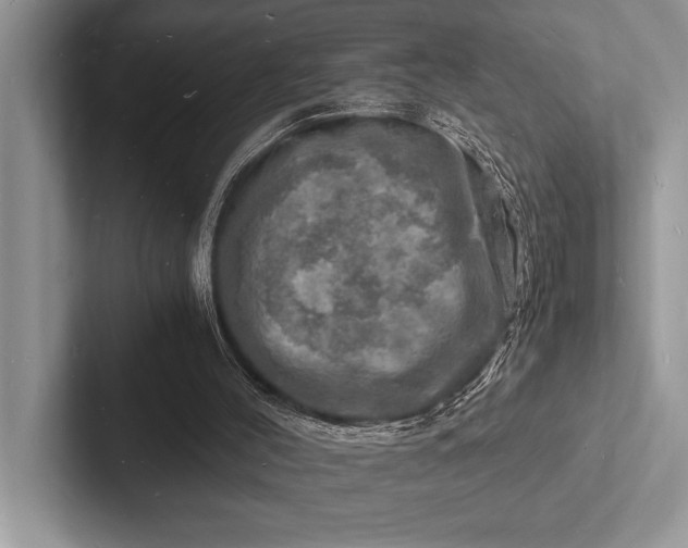 X0000103250004200809111624