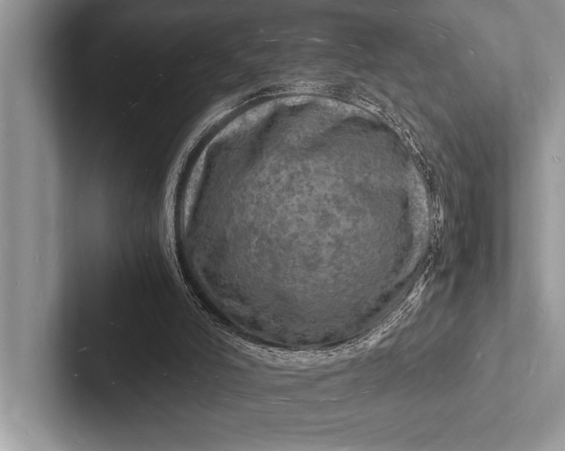 X0000103250006200809111624