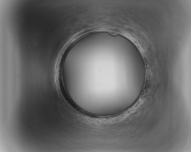 X0000103250007200809111624
