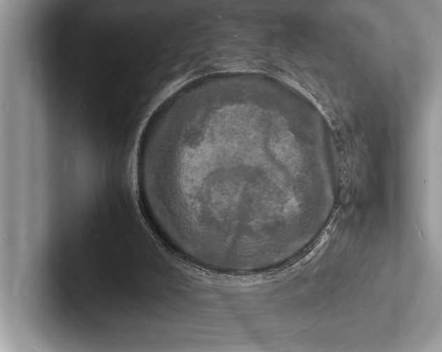 X0000103250008200809111624