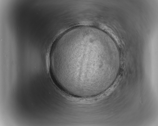 X0000103250011200809111624