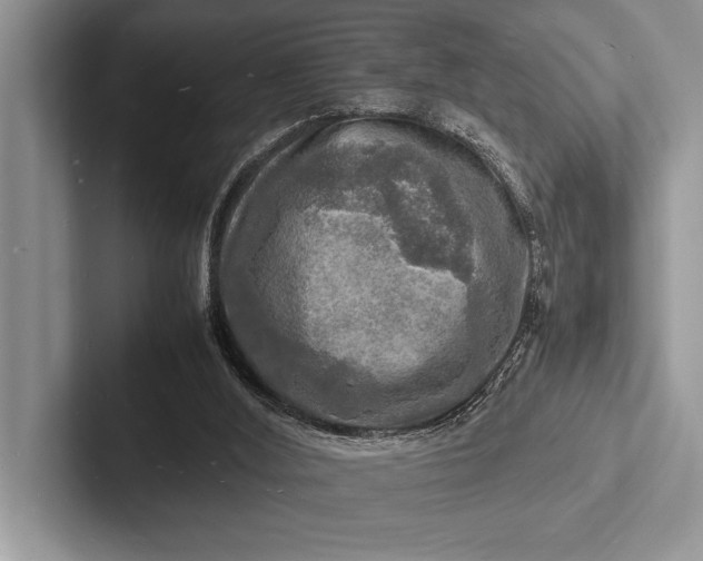 X0000103250012200809111624