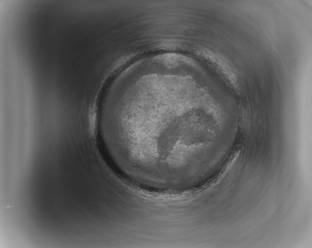 X0000103250016200809111624