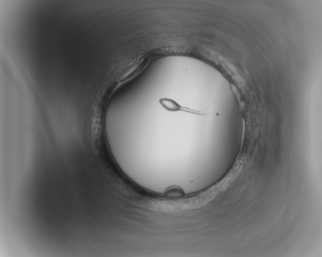 X0000103250017200809111624