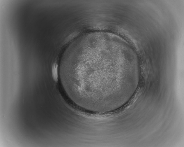 X0000103250020200809111624