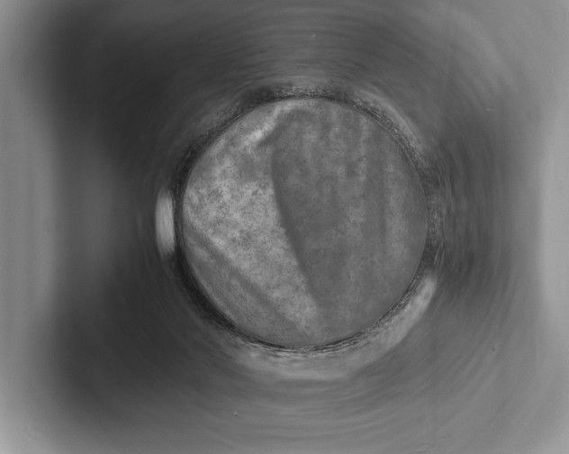 X0000103250022200809111624