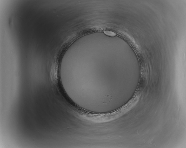 X0000103250023200809111624