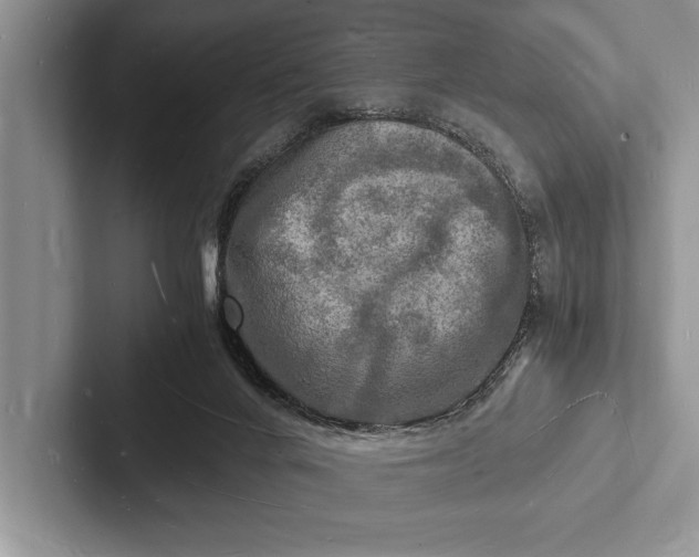 X0000103250024200809111624