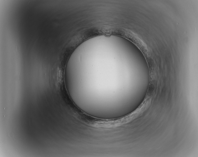 X0000103250025200809111624
