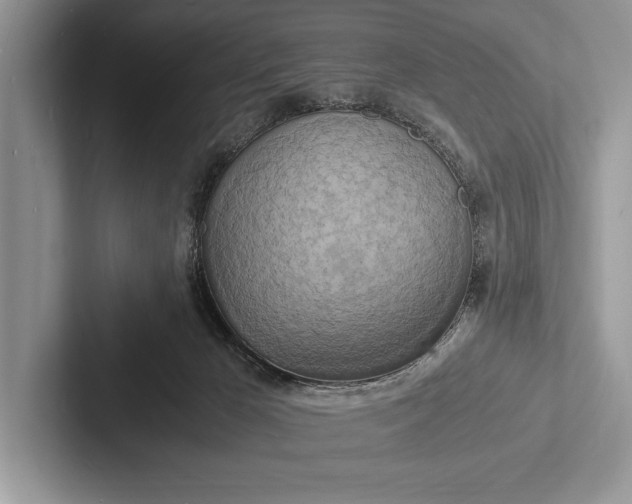 X0000103250029200809111624
