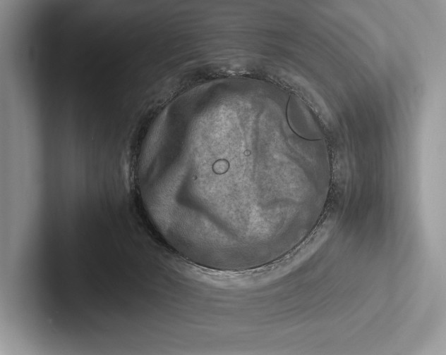X0000103250030200809111624