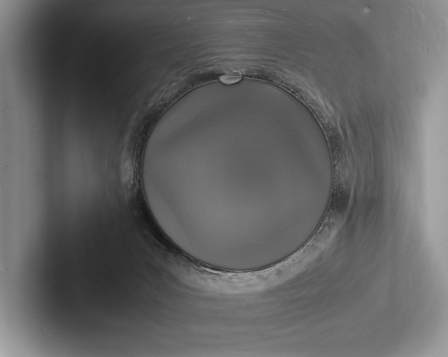X0000103250031200809111624