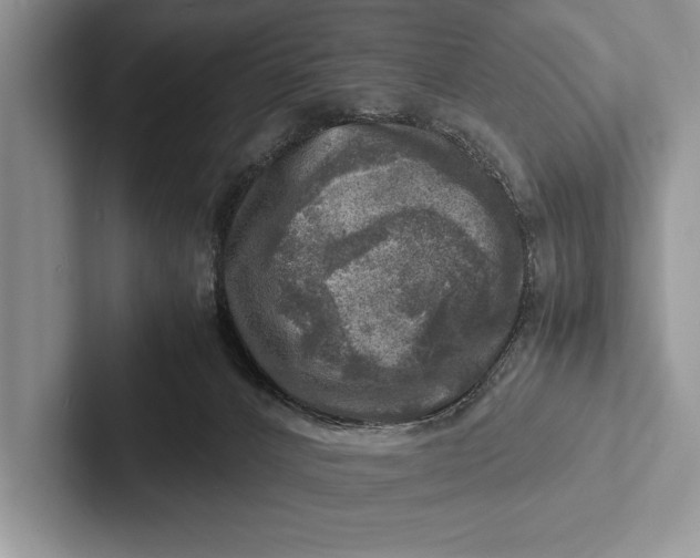 X0000103250032200809111624