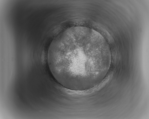 X0000103250034200809111624