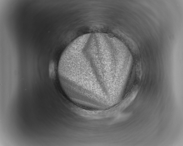 X0000103250038200809111624