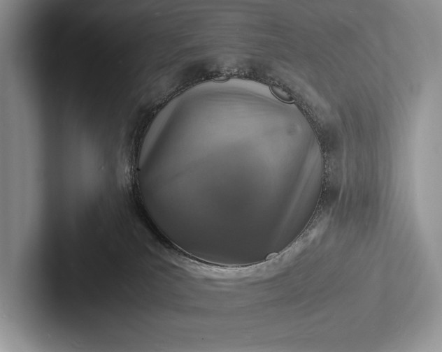 X0000103250039200809111624