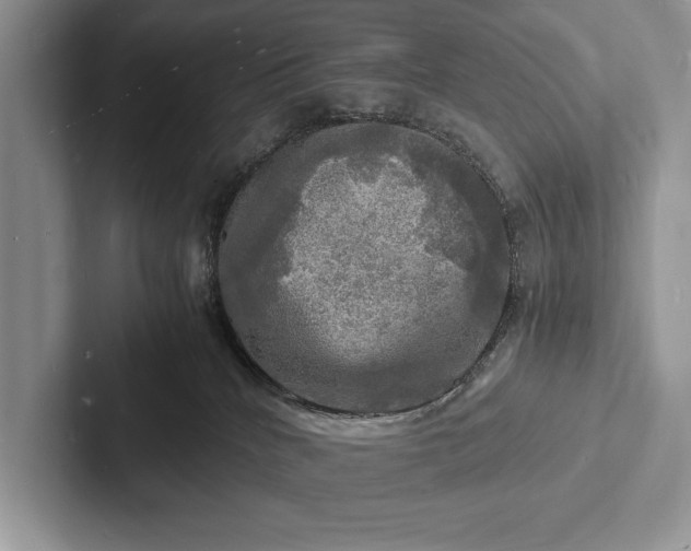 X0000103250040200809111624
