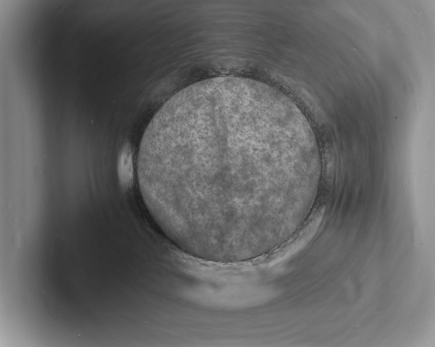 X0000103250042200809111624