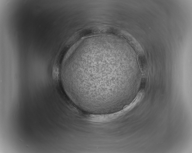 X0000103250045200809111624