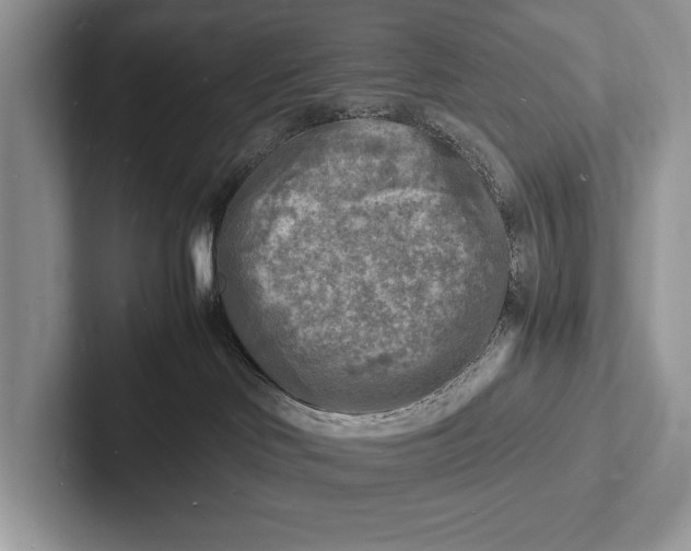 X0000103250046200809111624
