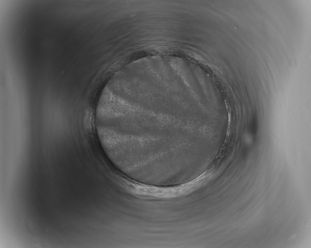 X0000103250048200809111624