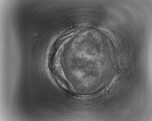 X0000103250049200809111623