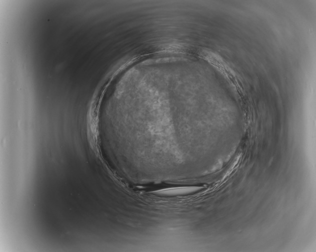X0000103250050200809111623