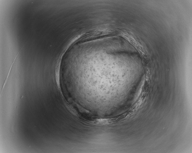 X0000103250052200809111623