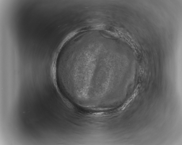 X0000103250054200809111623