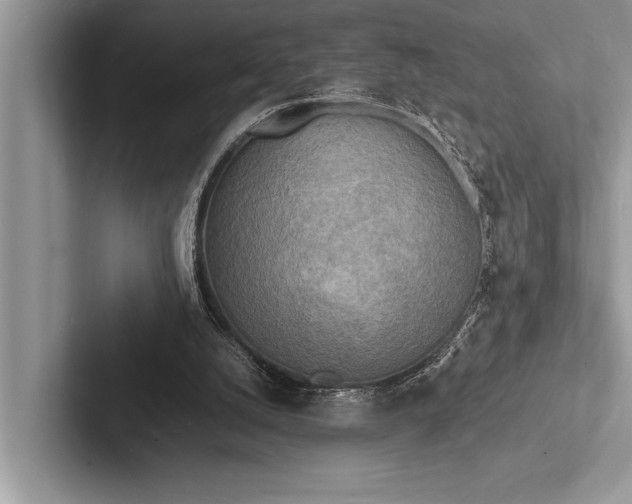 X0000103250056200809111623
