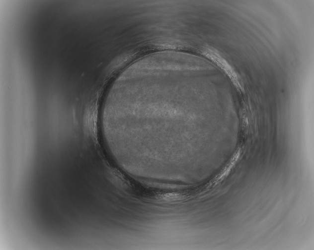 X0000103250058200809111623