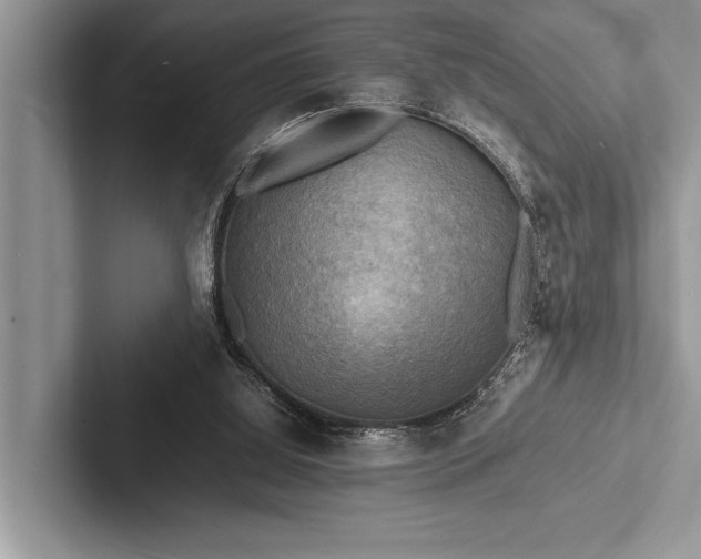 X0000103250060200809111623