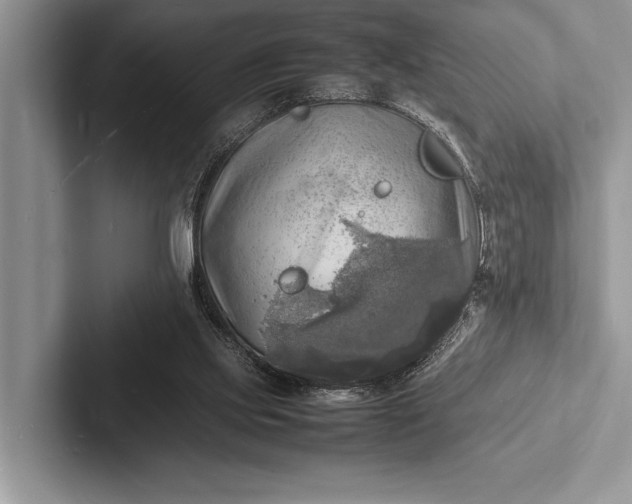 X0000103250061200809111623