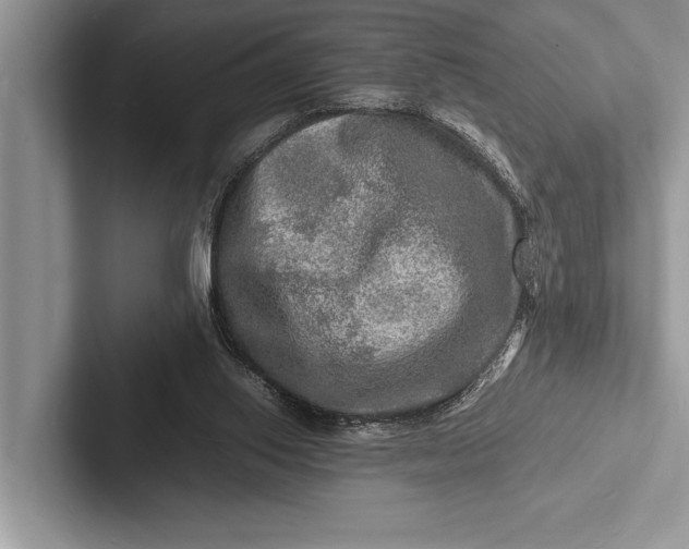 X0000103250062200809111623
