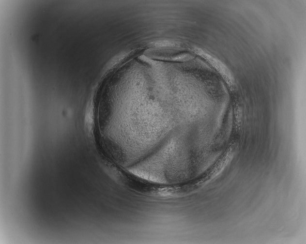 X0000103250064200809111623
