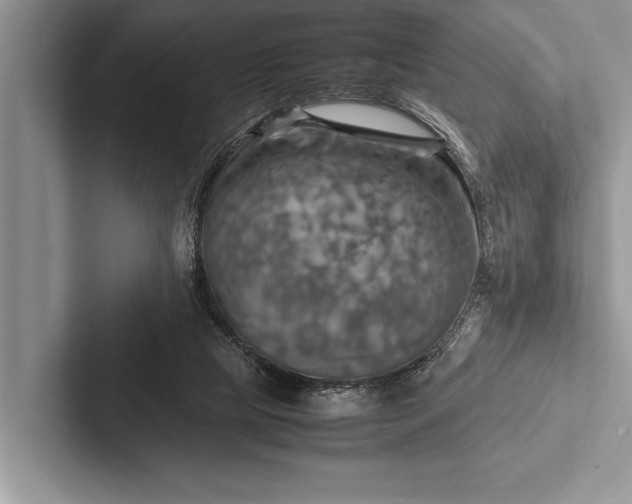 X0000103250065200809111623