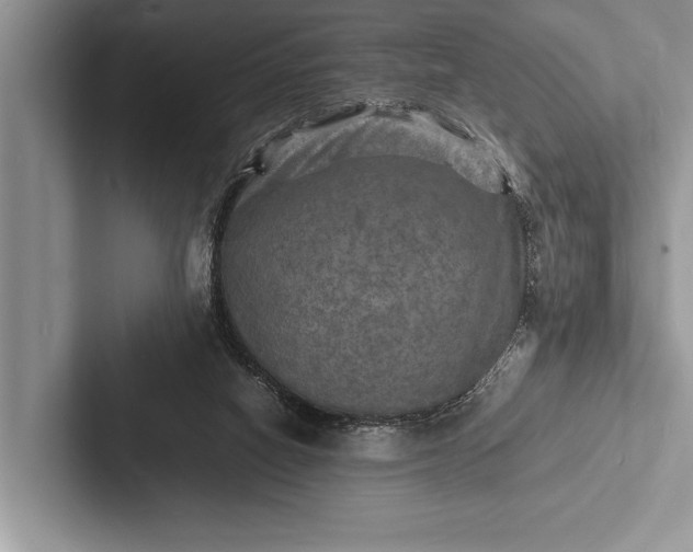X0000103250066200809111623