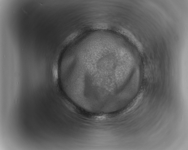 X0000103250068200809111623
