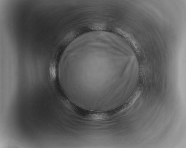 X0000103250069200809111624