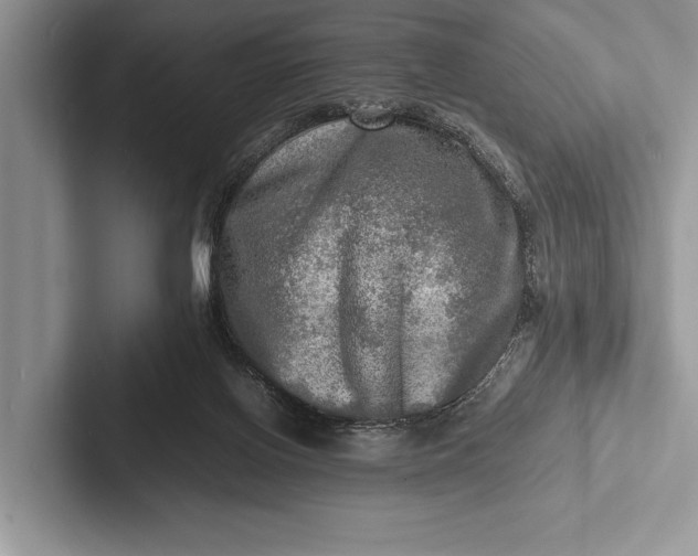 X0000103250070200809111624